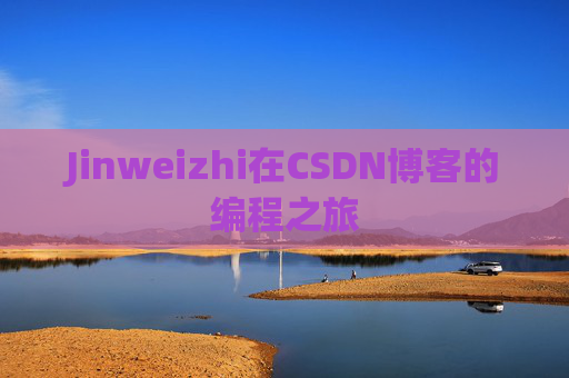 Jinweizhi在CSDN博客的编程之旅